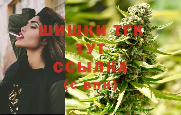стаф Армянск
