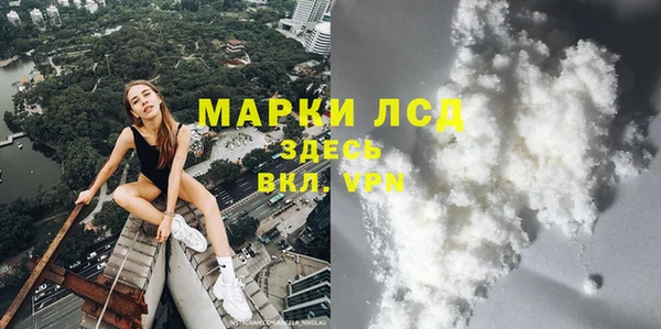 spice Аркадак