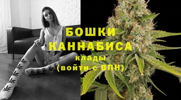 spice Аркадак
