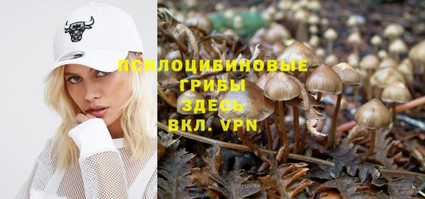 spice Аркадак