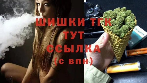 стаф Армянск