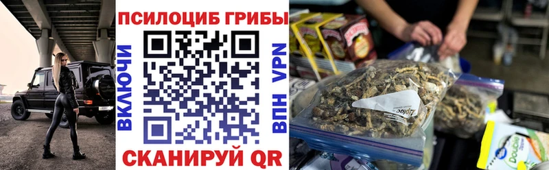 Псилоцибиновые грибы Cubensis  как найти   Тутаев 